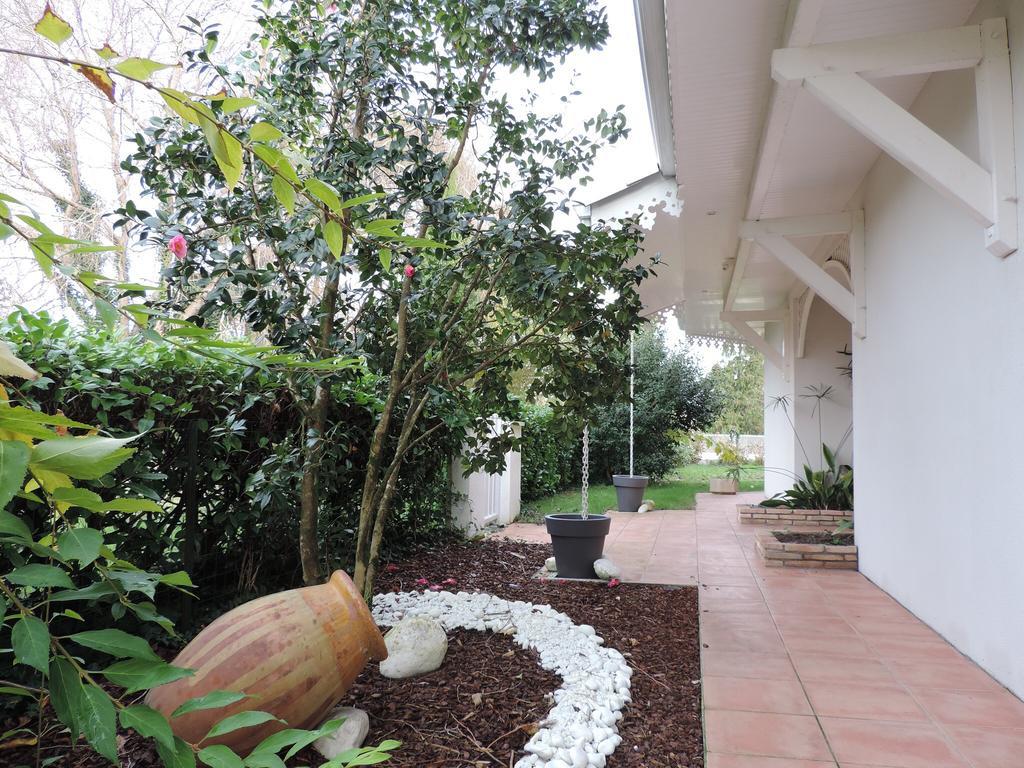 Chambres D'Hotes Villa La Louisiane อาเรส ภายนอก รูปภาพ